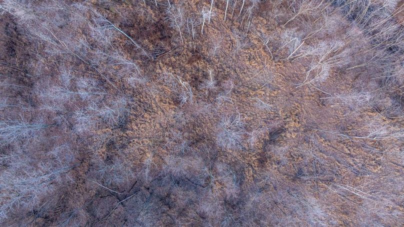 DJI_20260218075820_0009_D