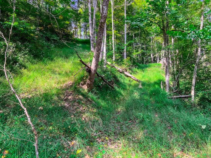 Calhoun, WV 101.8 AC Holly -12