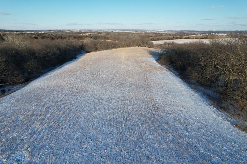 DJI_0463