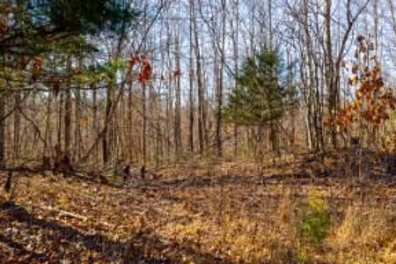 MCKINNON TRACT 19-12