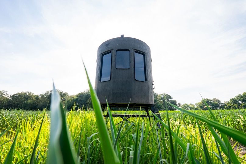 Copy of DSC06214 Large