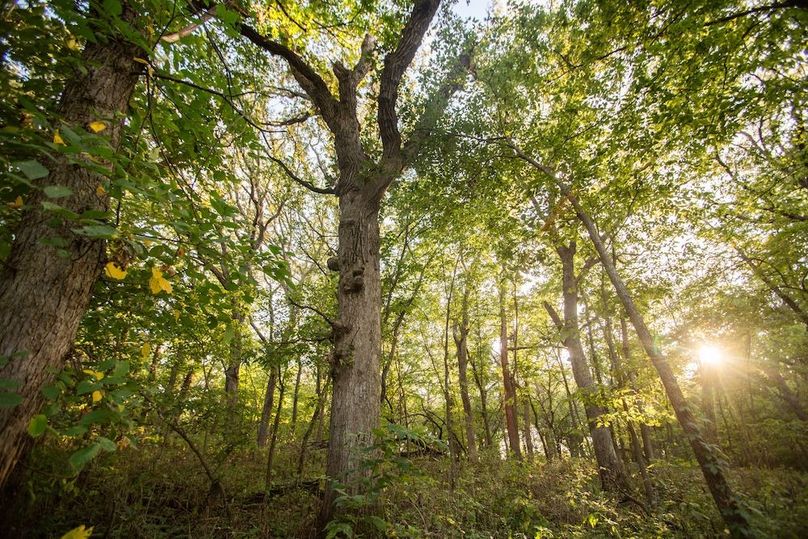 Copy of POTTAWATTAMIE CO IA 311 TRACT 3_11