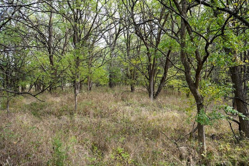 Dickinson Co, 154.5_060