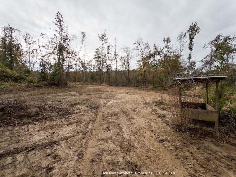 Claiborne Co-189-Geronimo-36