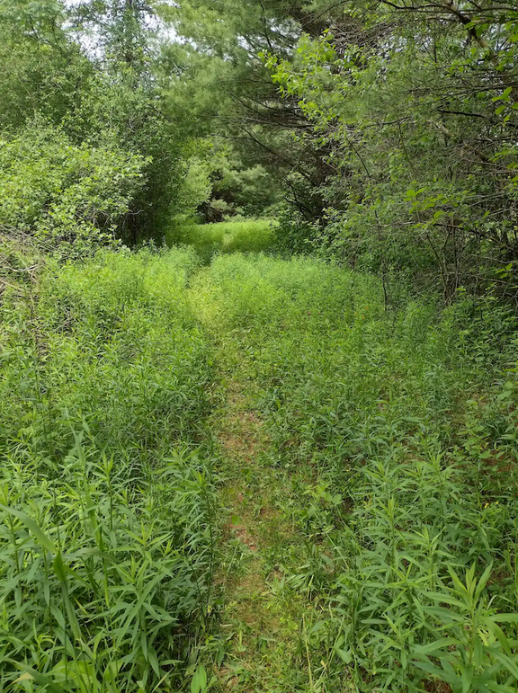 Screenshot 2026-03-03 at 9.56.21 AM