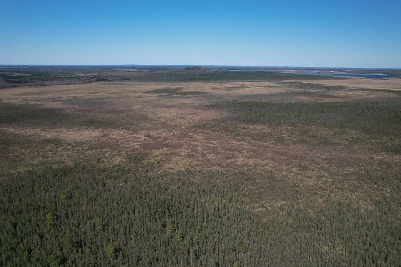 DJI_0061