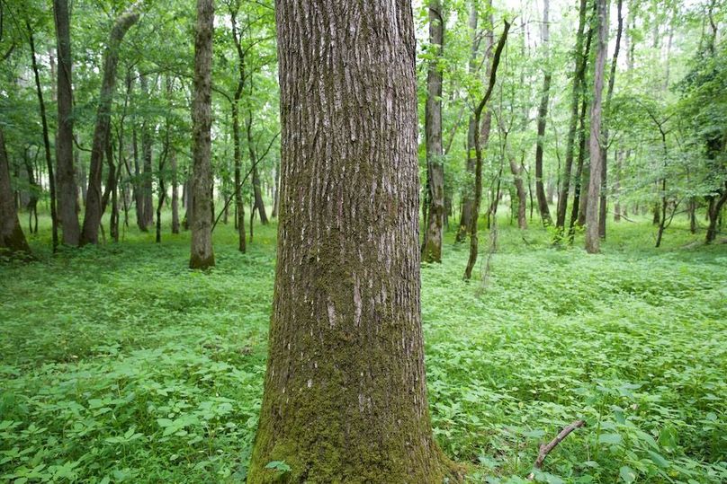 95