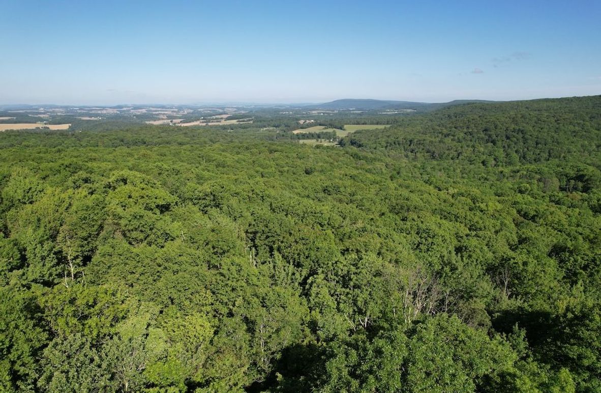 dji_fly_20260602_085042_611_1780663588084_photo