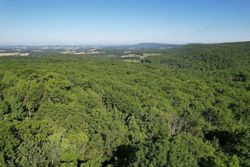 dji_fly_20260602_085042_611_1780663588084_photo