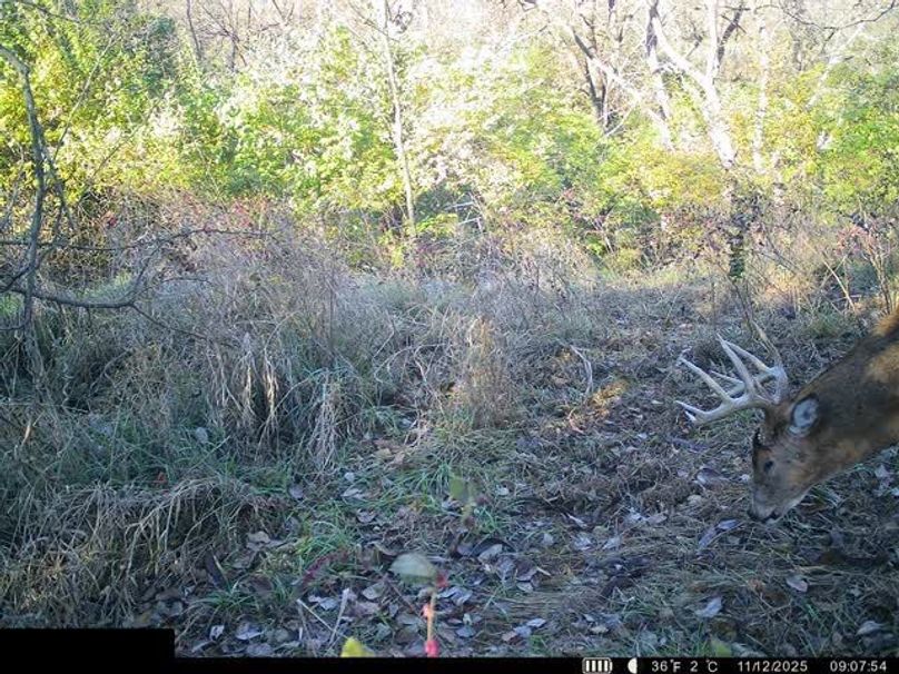 864049054588258-100-4-11122025090811-W1003441