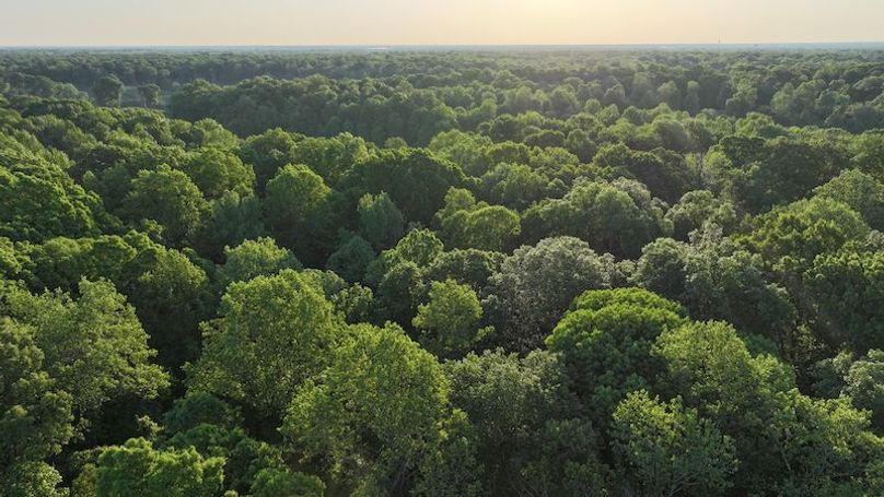 Desoto 8.3 Clement (Final Frontier) -7