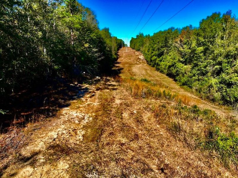 A74A10D2-7D86-4C23-A47B-02BA34AFD890_1_105_c