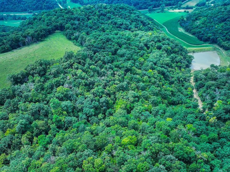 New Albin 8_8 edits-18