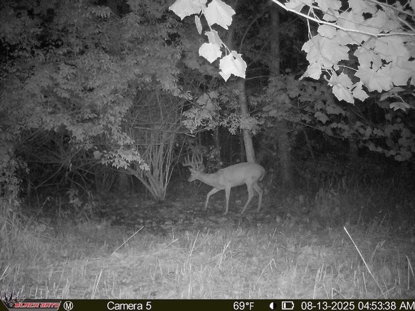 42971126-27A6-42E8-97F0-741DF4417D97