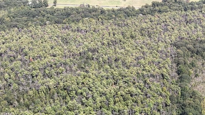 DJI_20250923005153_0746_D