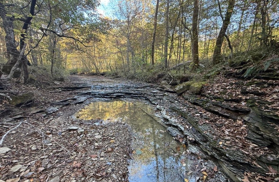 001 view of the creek flowing through the property near the east boundary