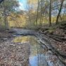 001 view of the creek flowing through the property near the east boundary