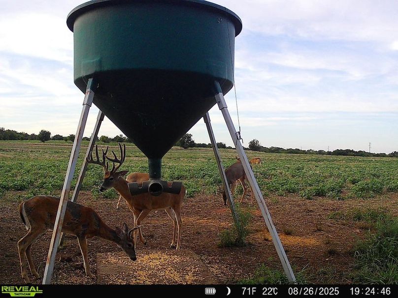 860516064952926-90-3-08272025052716-HD-SYFW4095