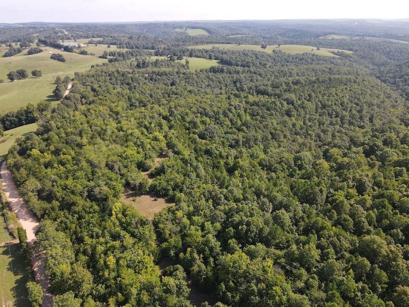 dji_fly_20240808_095434_306_1723128915433_photo