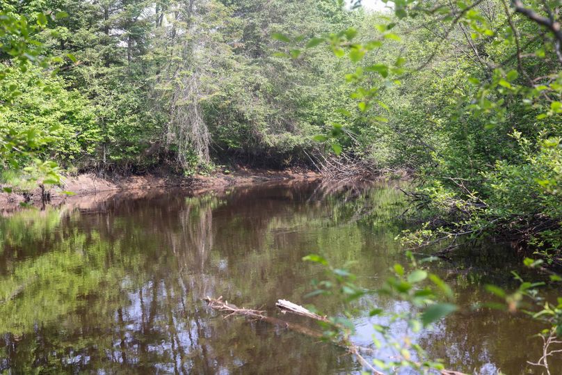 Chippewa85Knowles-5785