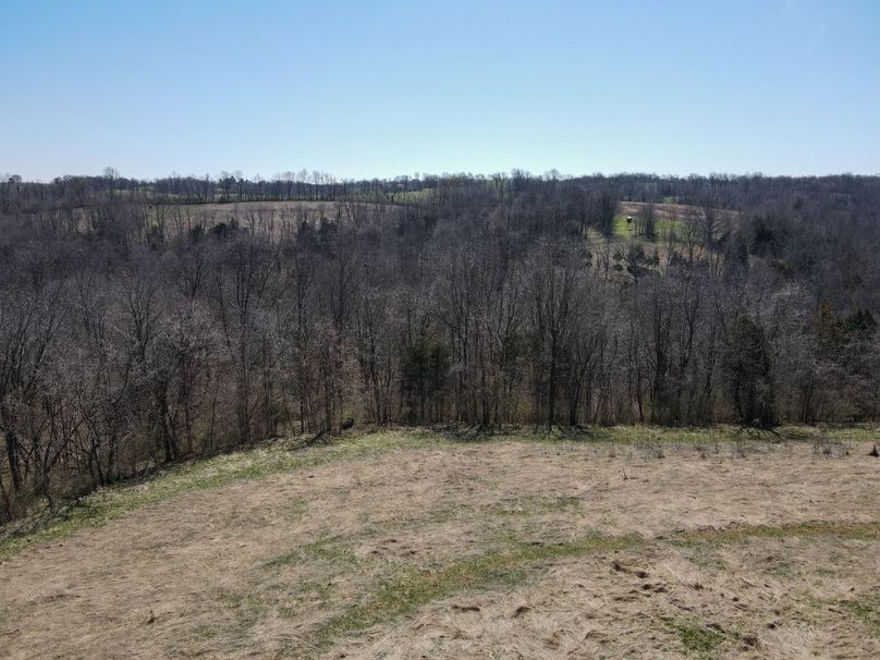 Fleming Petry 120-106