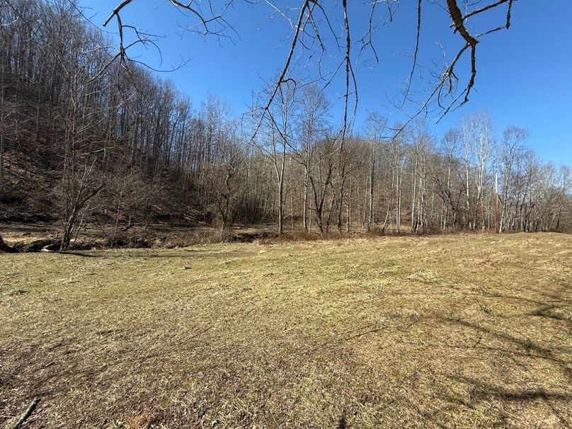 011 the open field area towards the middle area of the property