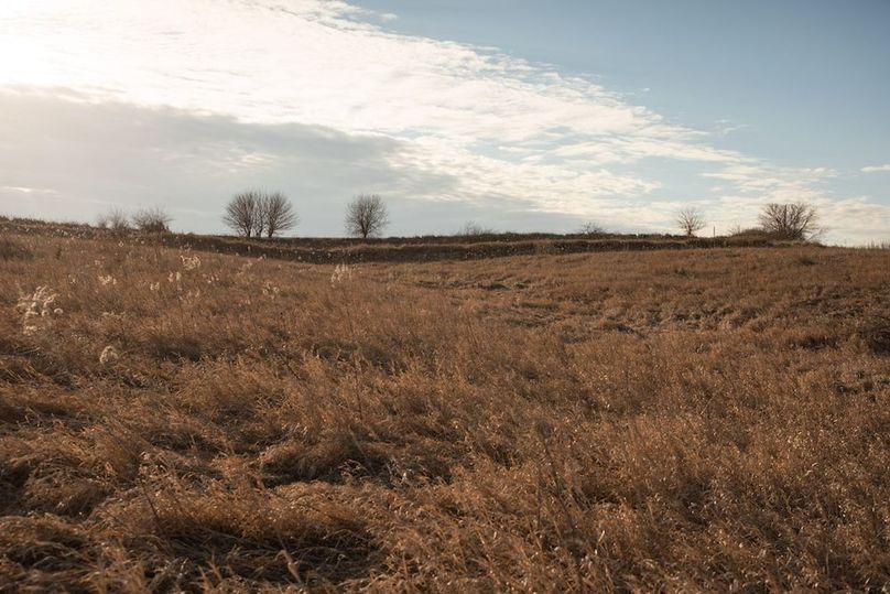 MONTGOMERY CO IA 156.78_27