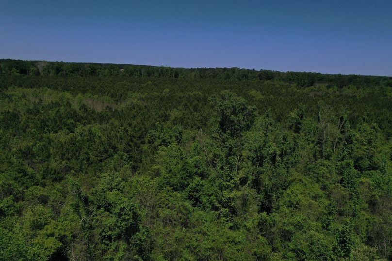 DJI_0043