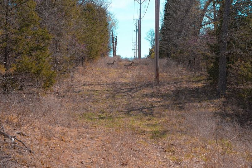 DSC05203