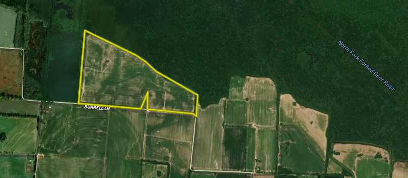 Screenshot 2026-03-26 at 8.45.41 AM