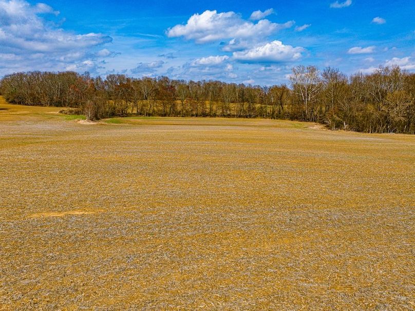 Gibson County Tract 1-09