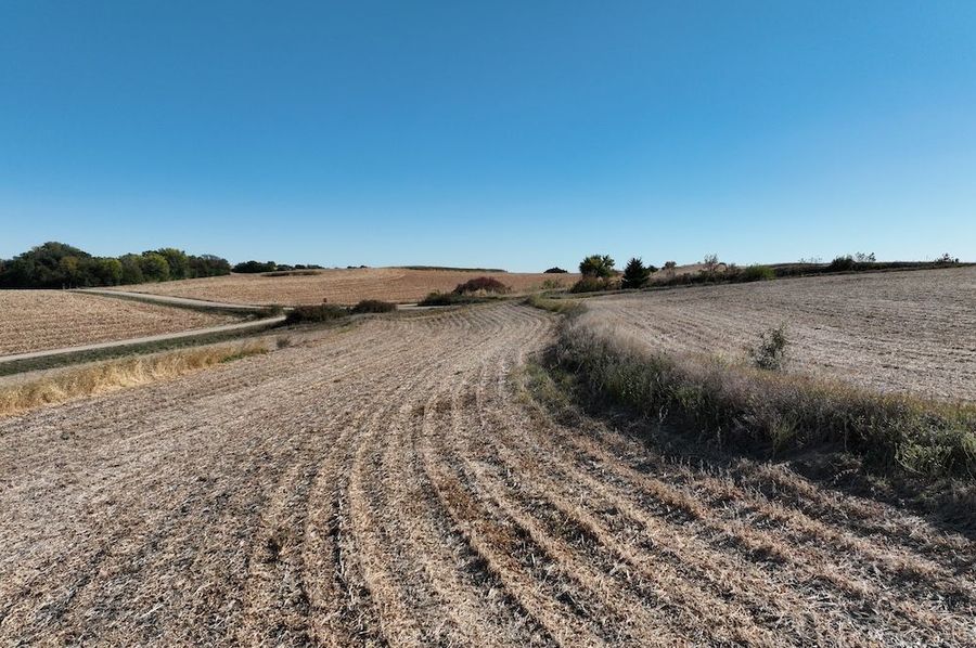 DJI_0282
