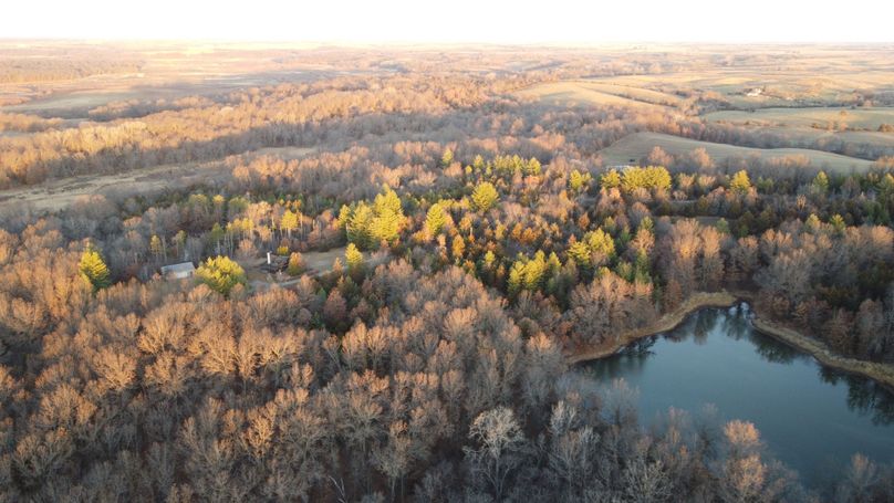DJI_0381
