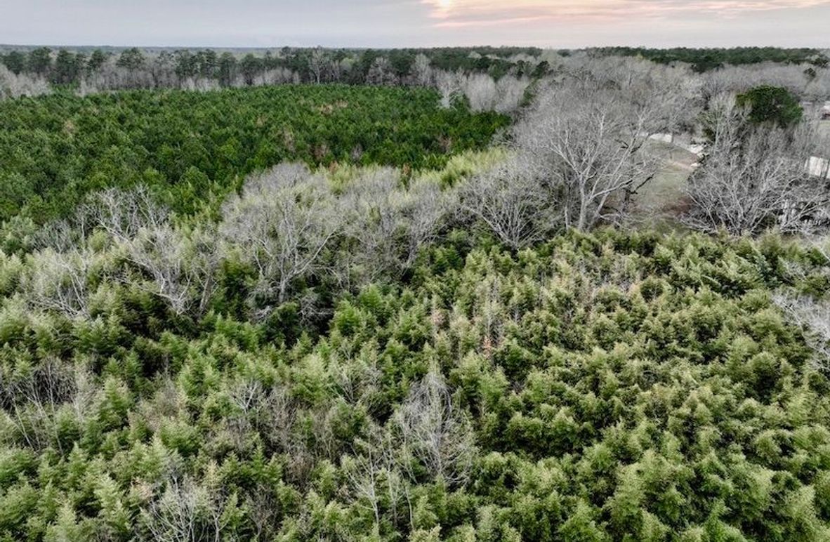 1A20EF81-EB25-4867-BEEB-193A9F948AF9_1_105_c