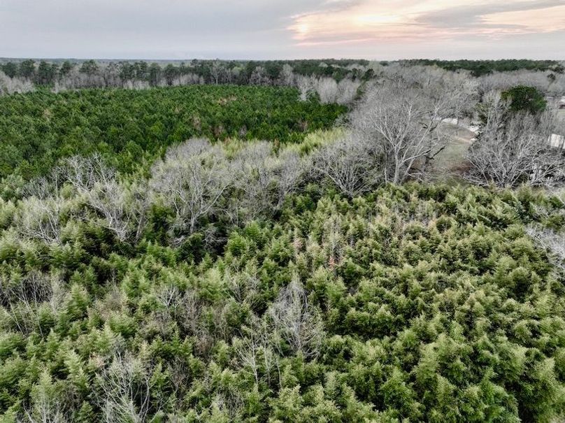 1A20EF81-EB25-4867-BEEB-193A9F948AF9_1_105_c