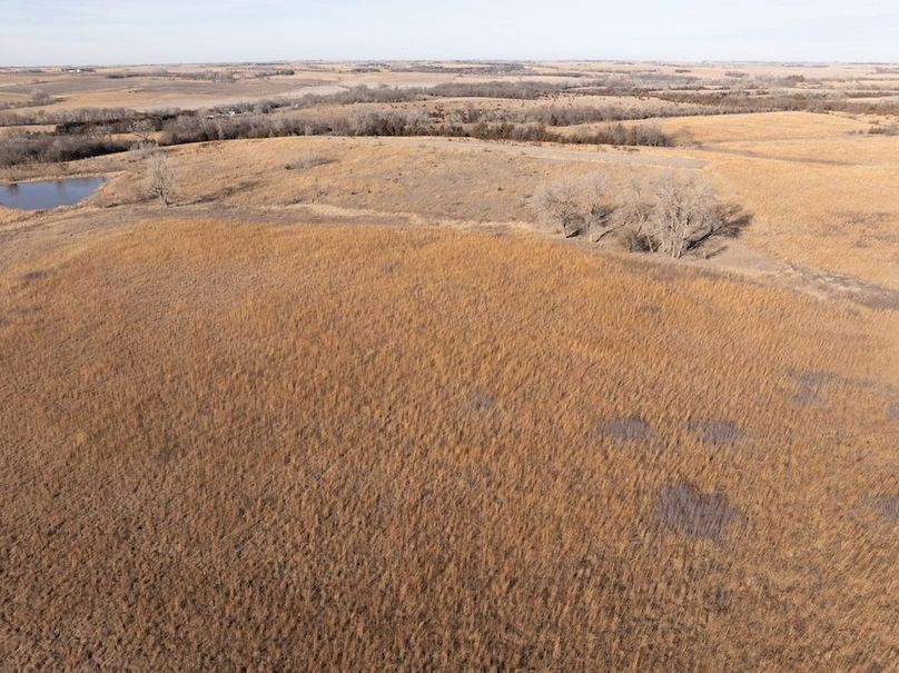 DJI_20260112145735_0583_D