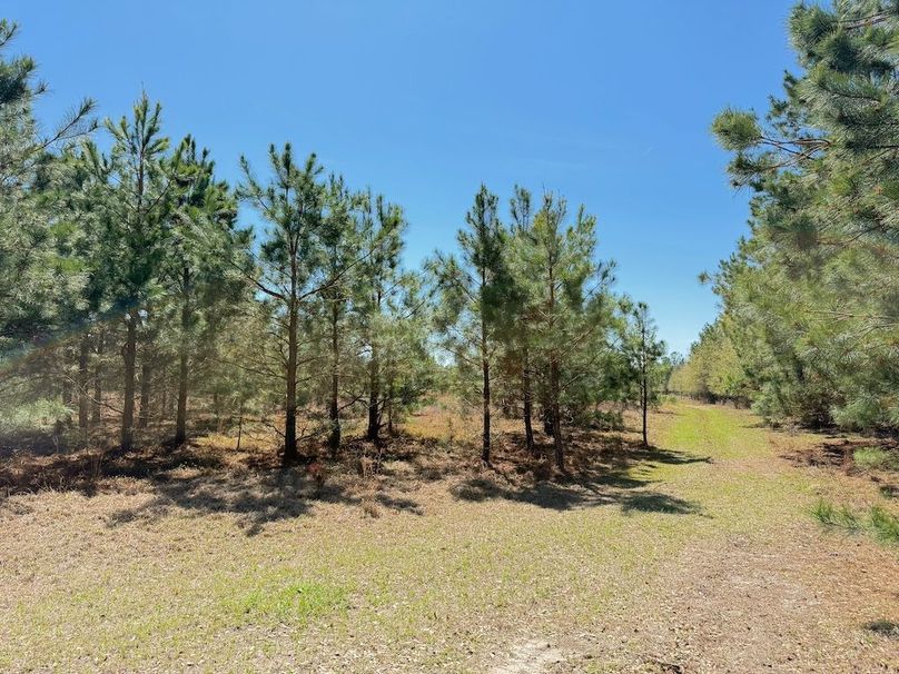 222FF614-AD18-49D1-A08B-228E68D06006