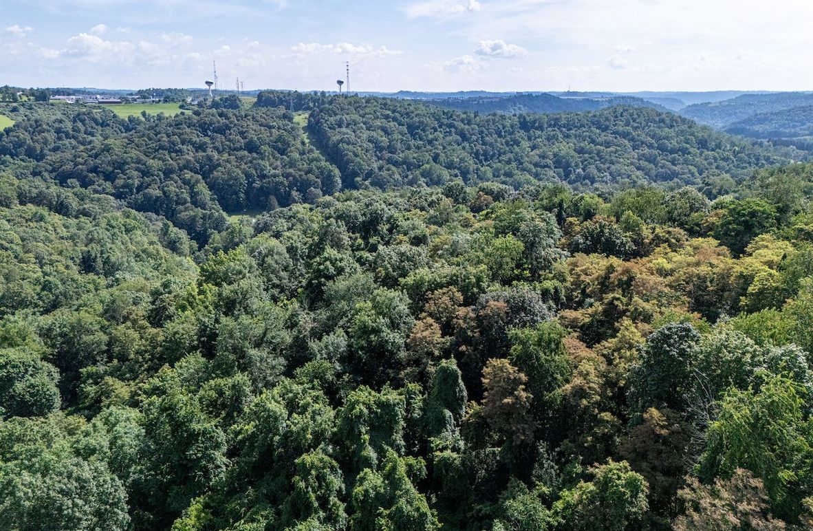 DJI_20250728142210_0158_D