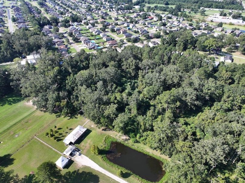 dji_fly_20250910_095354_0435_1757523437878_photo