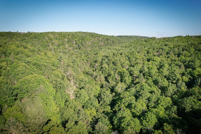 Tioga_82.5_Williams_Photos_15