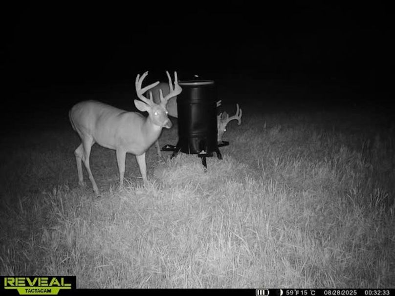 865509050128614-60-4-08282025003243-W1020687