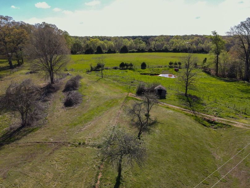 dji_fly_20240405_100148_315_1712325865297_photo