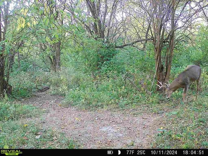 860322062166886-40-4-10112024180450-V-W1005422