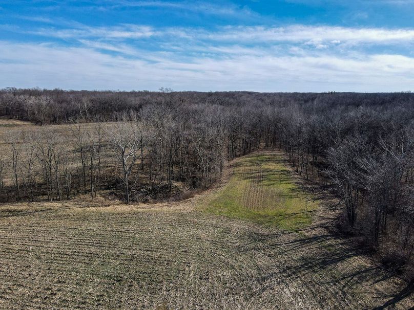 vandalia 450 (2)-2250