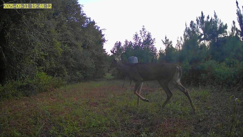 MPOEBLPJPBRWY6WF6YXA_20250911_194813