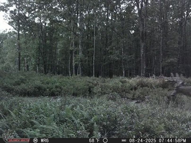 59A8BE67-531C-493E-942B-94BF9B9618CE_4_5005_c