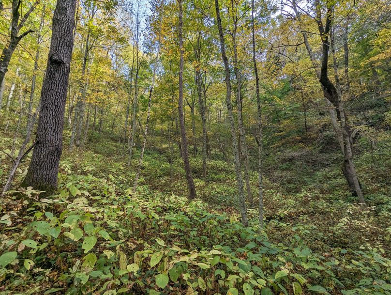 PXL_20231004_193353388