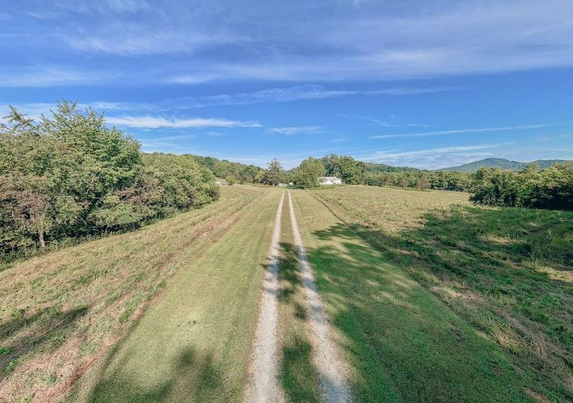 Miller-Hawkins pic 25