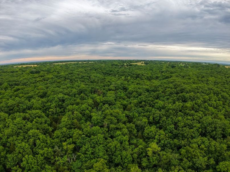 DJI_20250630072846_0328_D