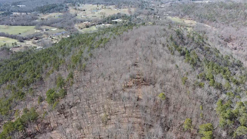 2024-02-13-12-22-43-521